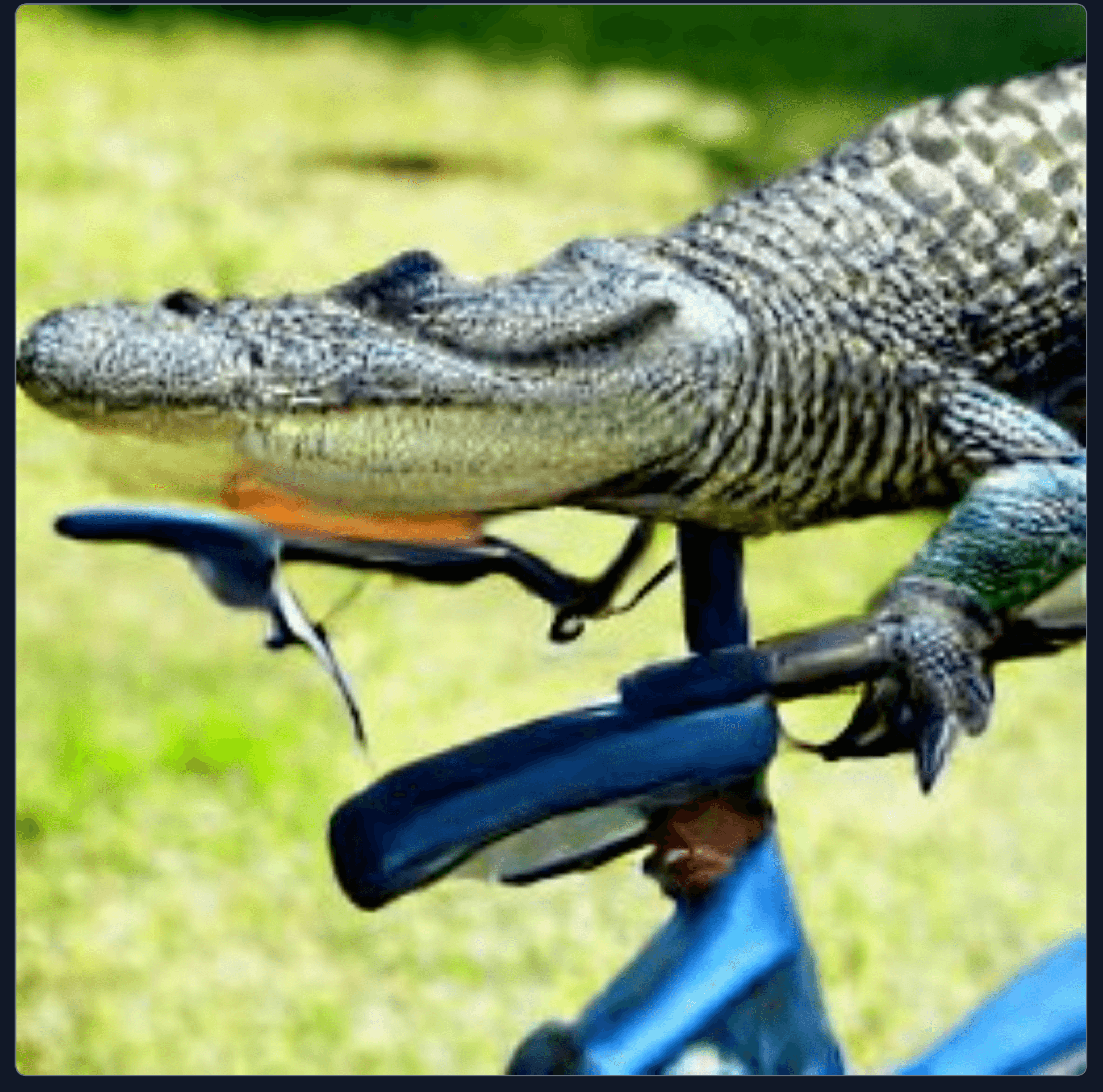 Craiyon 101821 alligator standing on a bicycle seat