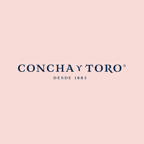 3 Concha Y Toro Blue logo