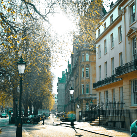 Pexels timea kadar 2214035