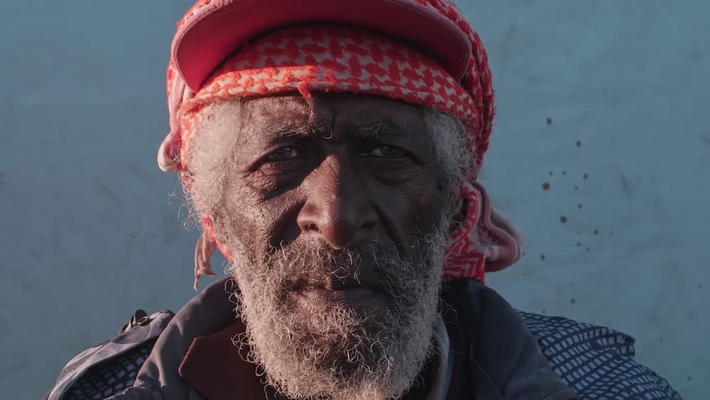 Abu Portrait