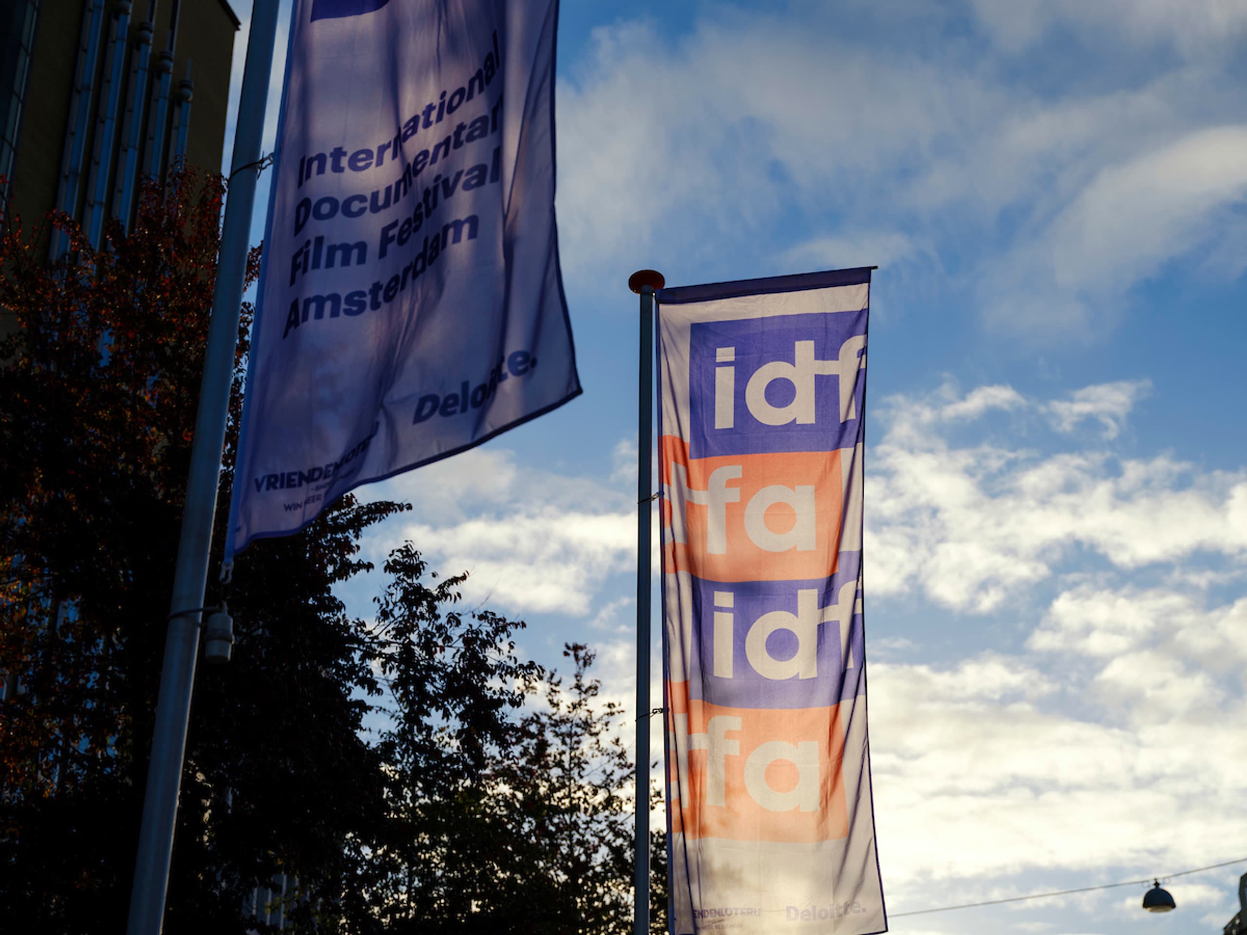 Idfa IDFA Institute | Mission & vision