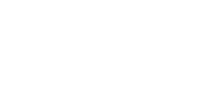 Logo white block