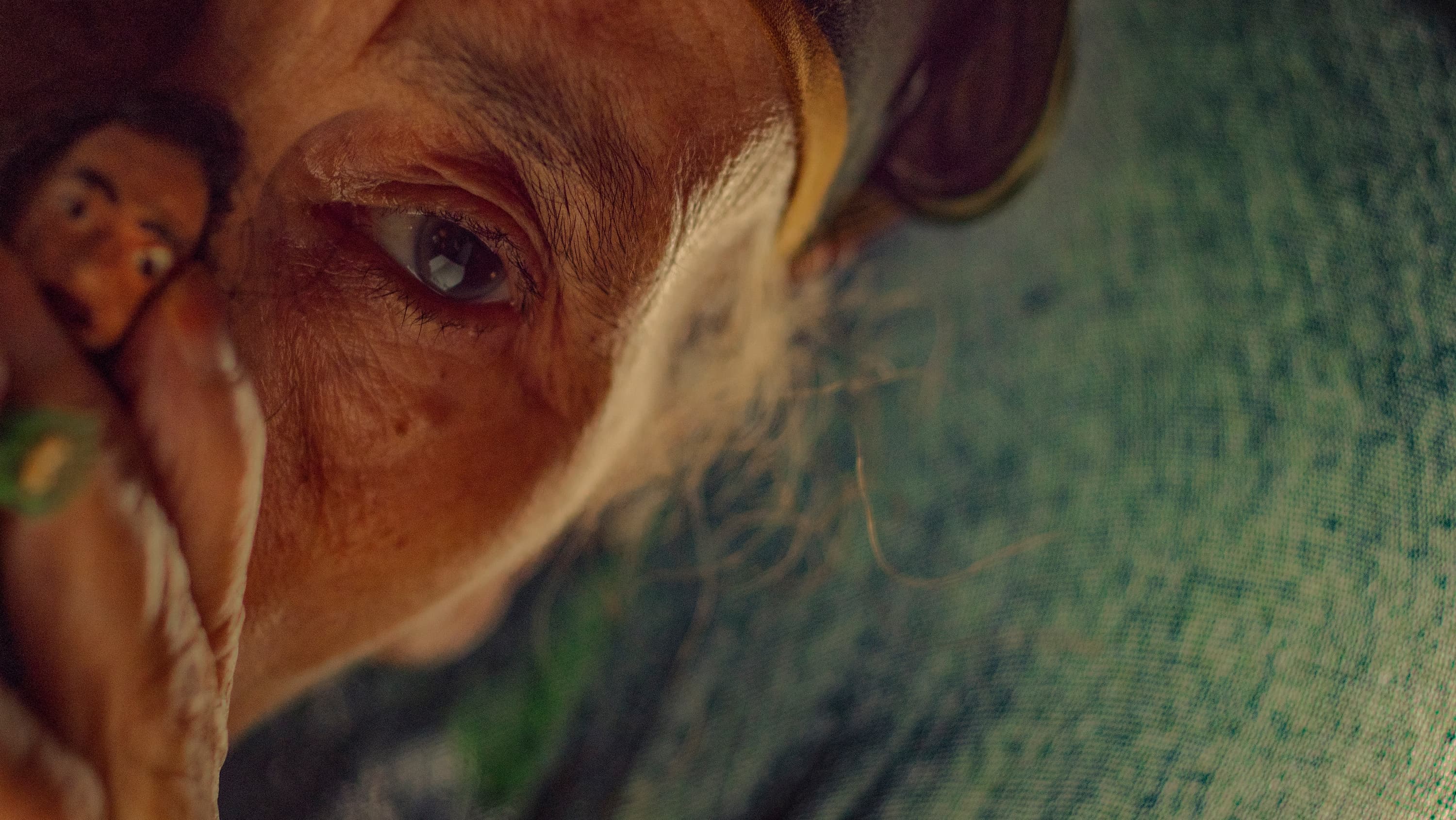 1 Main Still The Mother Of All Lies Still c Insight Films 1