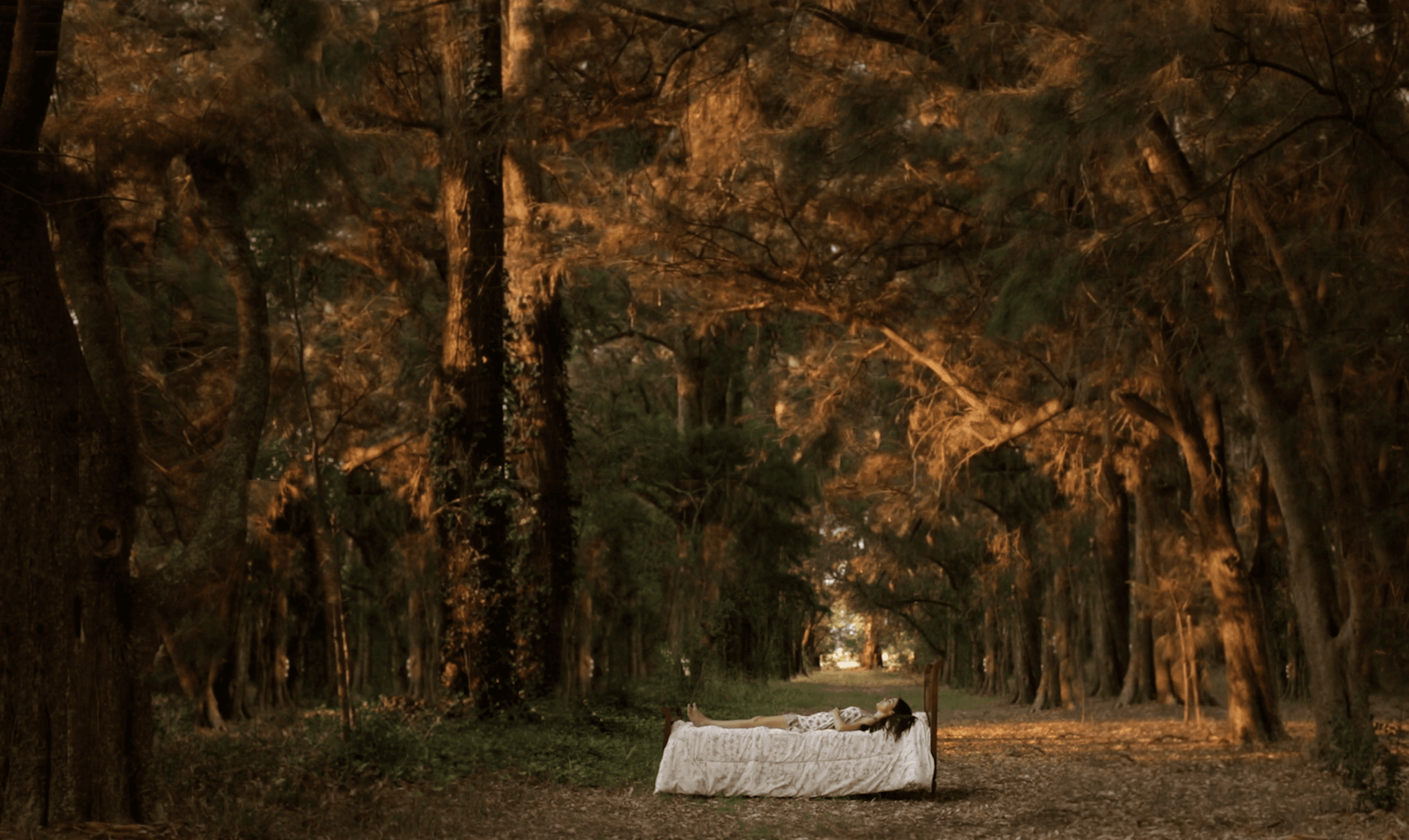 Screenshot 2025 10 14 at 10 39 29