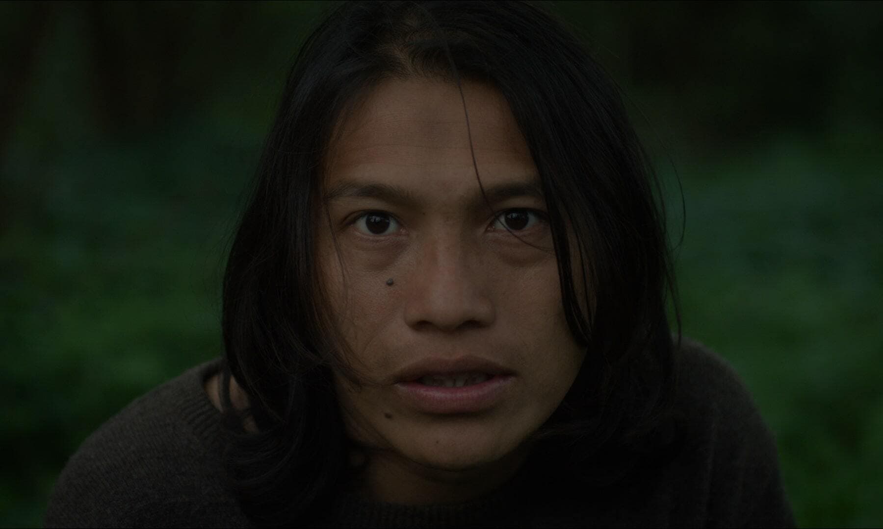 Award-winning films at the IDFA Vondelpark Pavilion