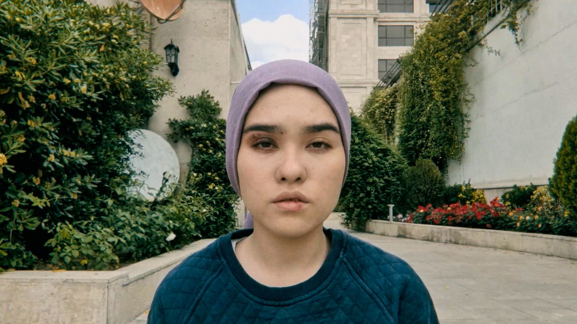 A Fox Under A Pink Moon 3