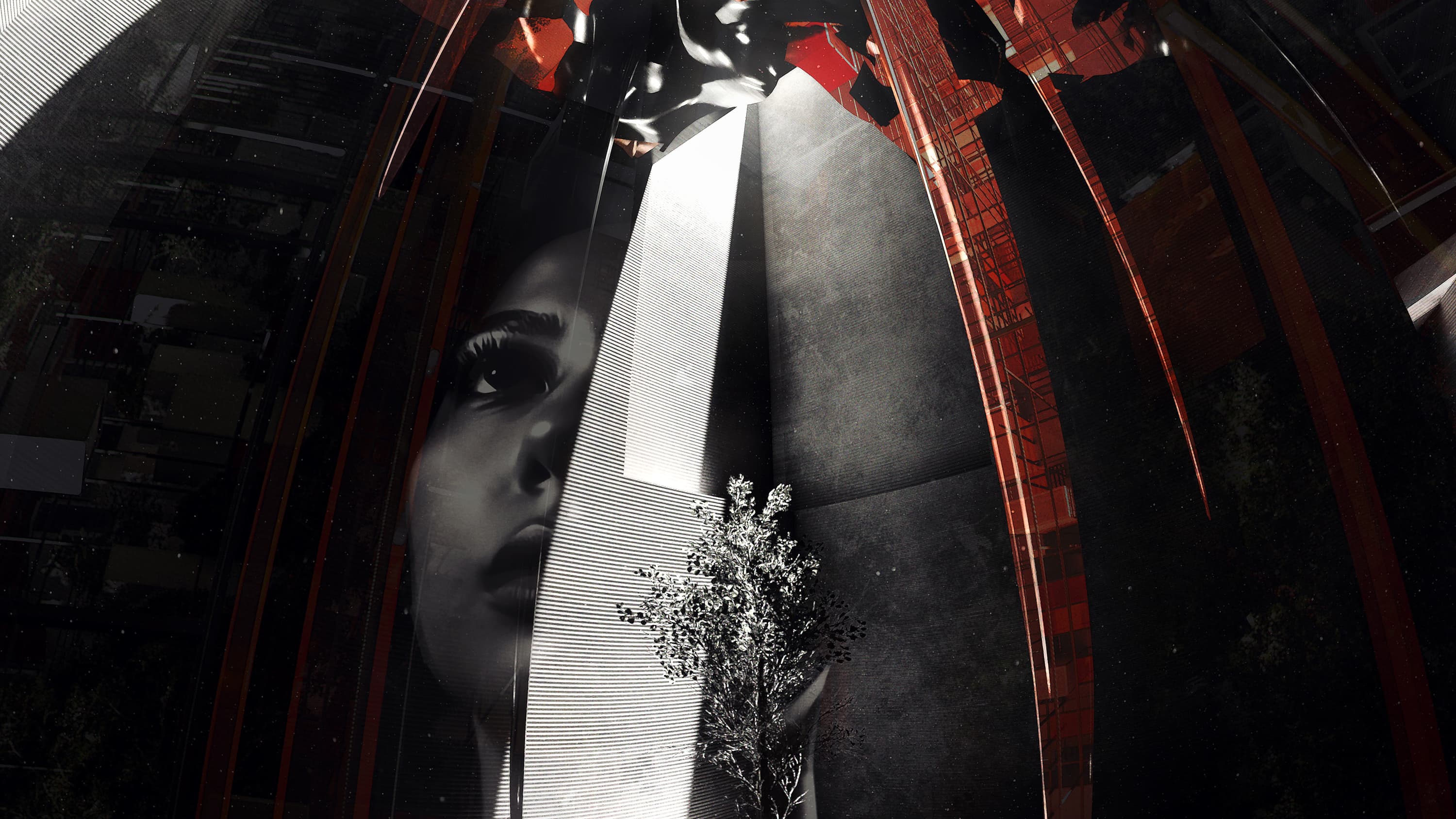 Eternal Habitat Germany 2025 Sergey Prokofyev 6 min IDFA Doc Lab Program Competition IDFA Doc Lab Spotlight