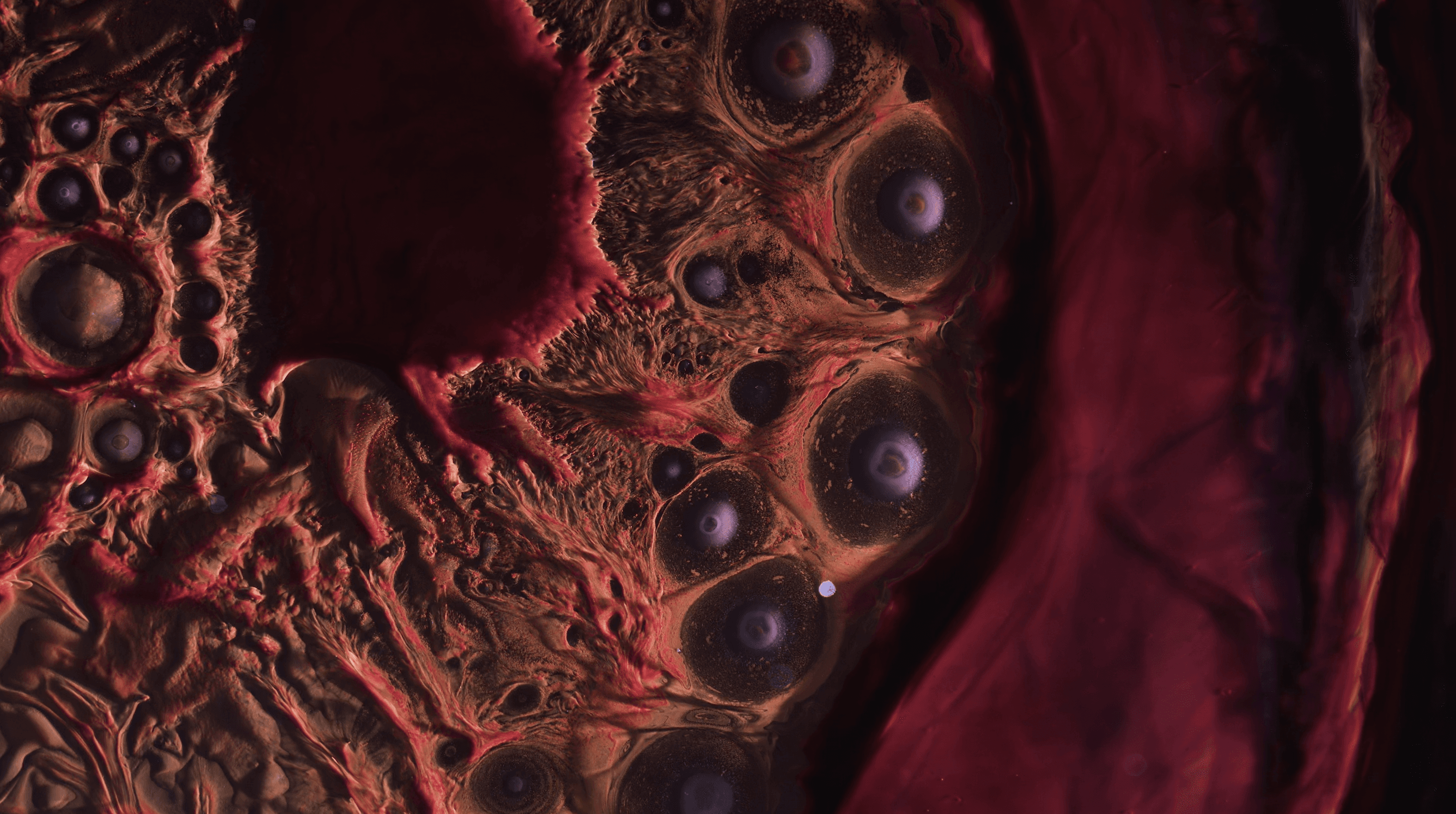 The Odeus France 2024 Thomas Vanz 4 min IDFA Doc Lab Program Competition IDFA Doc Lab Spotlight