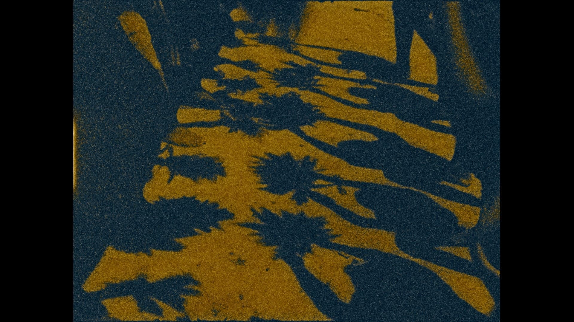 The Memoryof Butterflies Still3