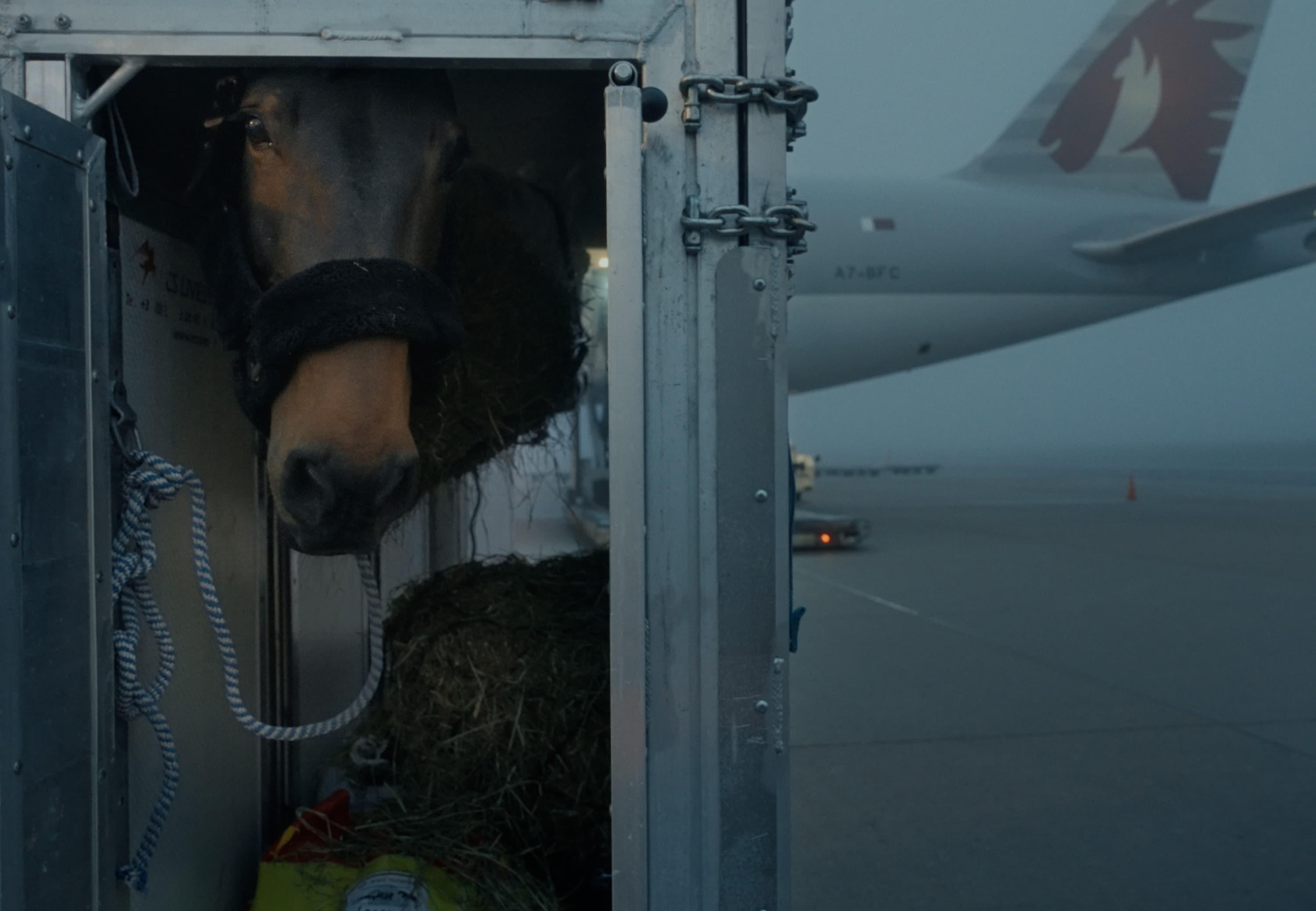 Travelling Air Horse One 2025 Still 01