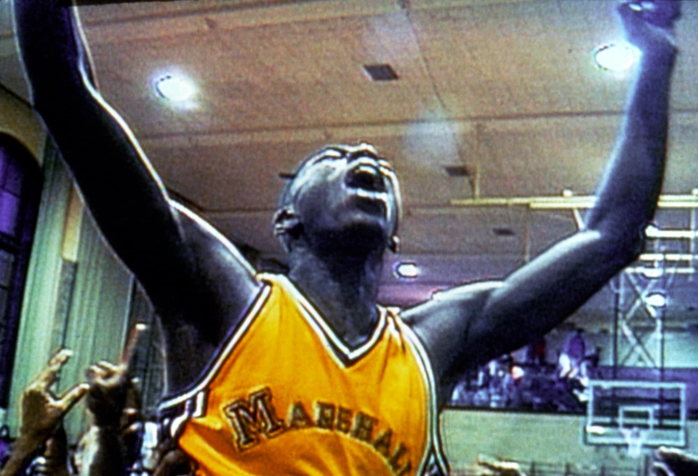 Het Documentaire Paviljoen is back with an exciting program
