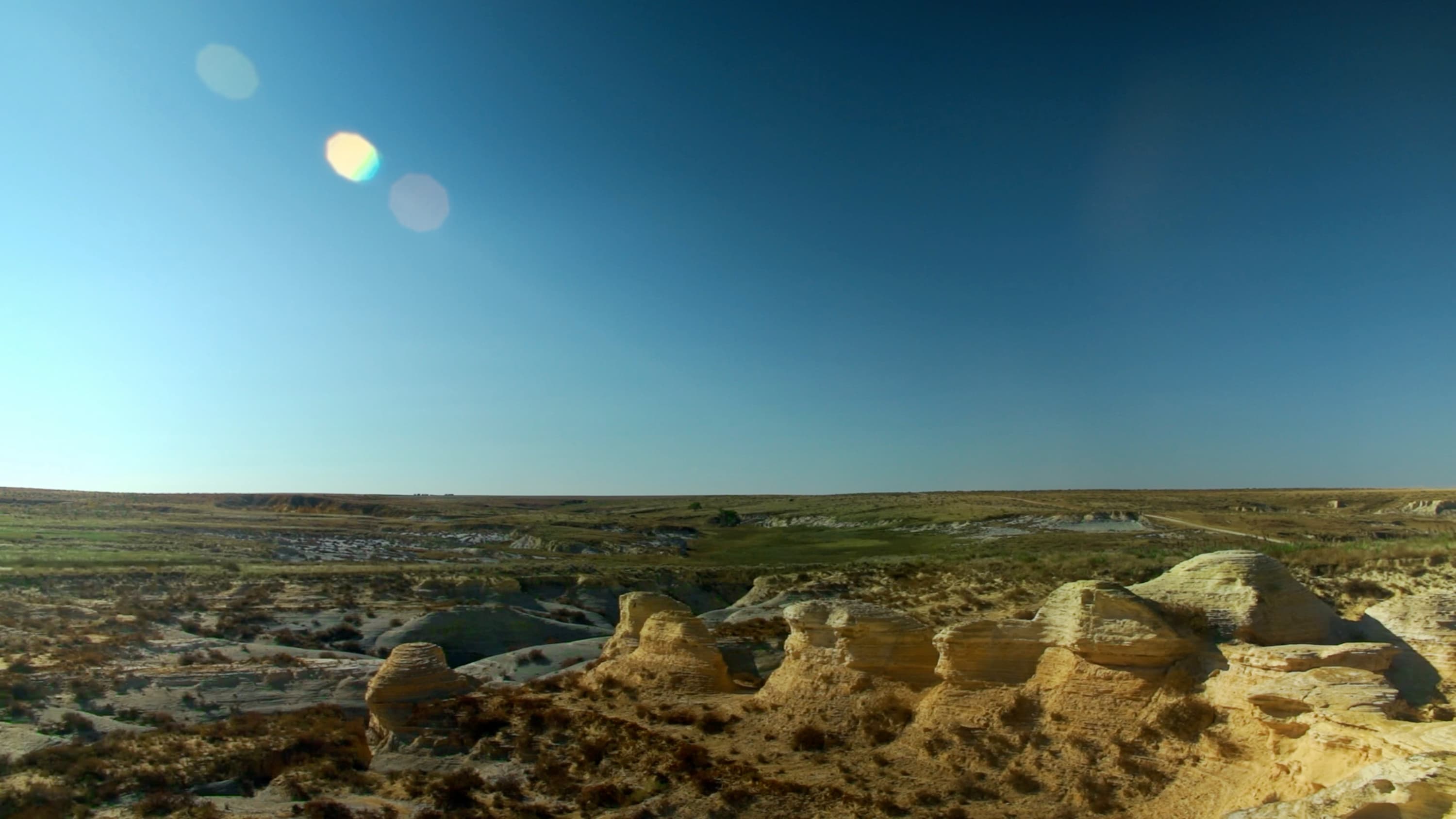 Cross-section awards at IDFA