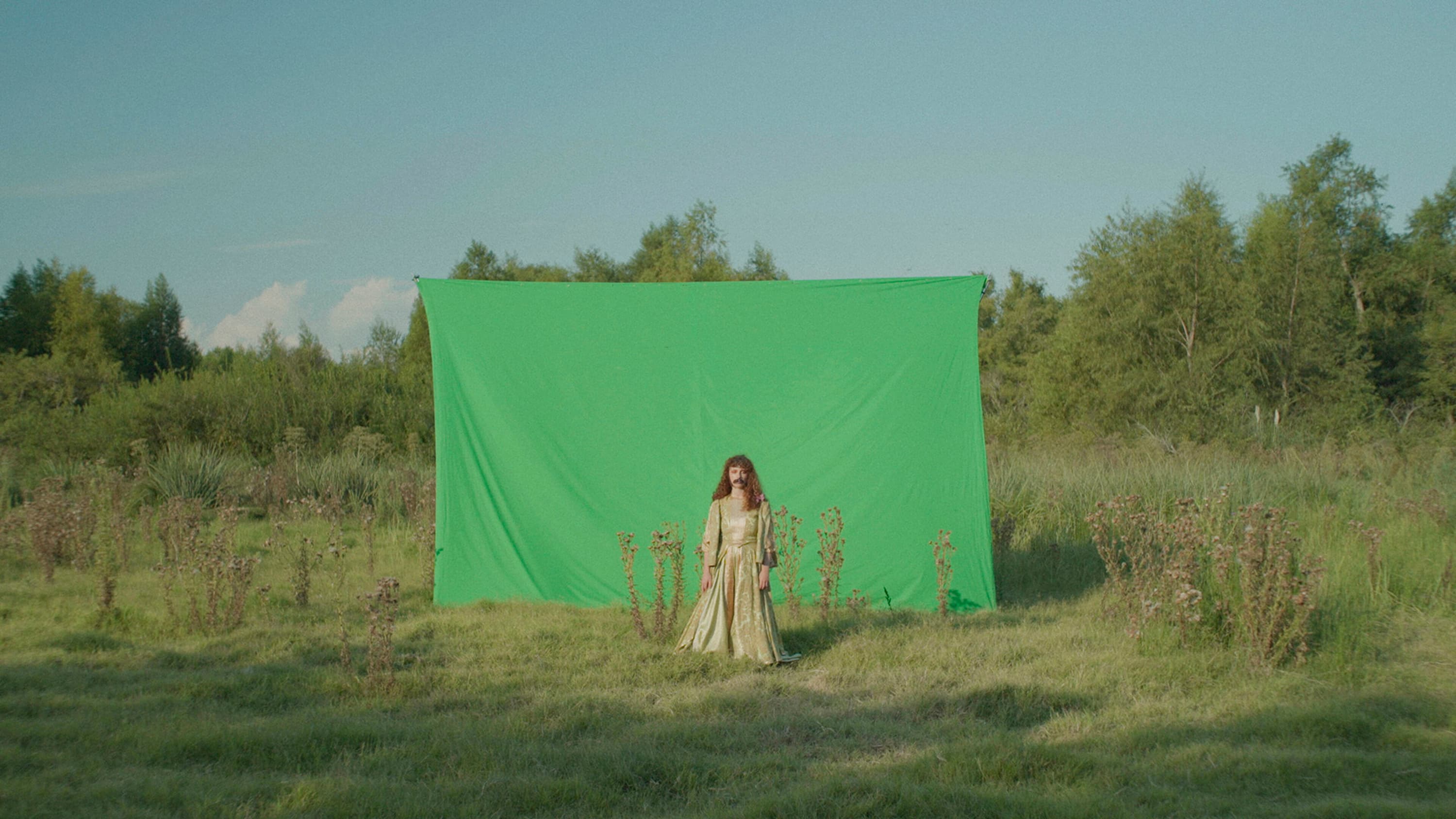 IDFA Bertha Fund announces new IBF Europe selection