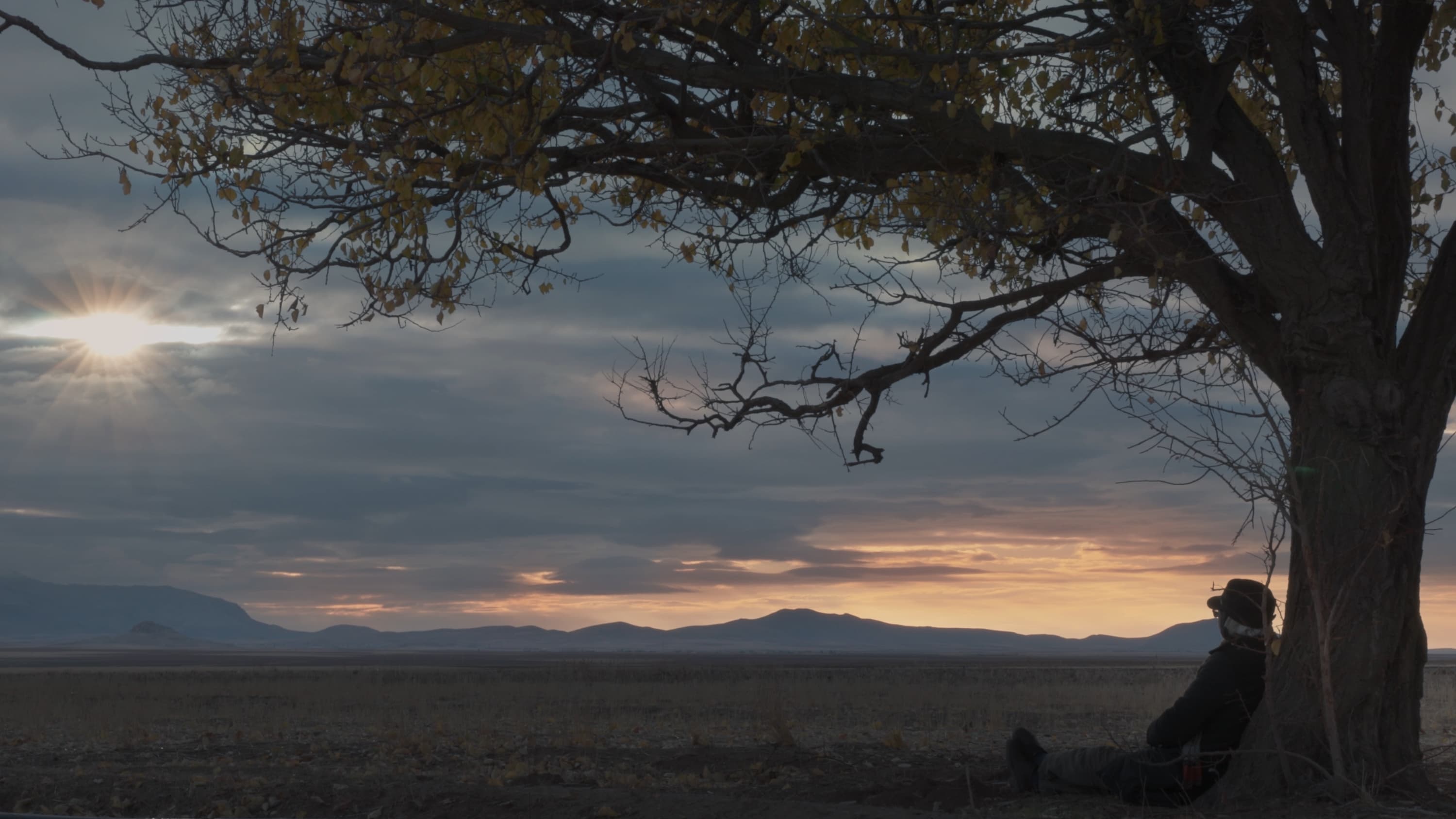 Beyond the frame: Rethinking documentary practice