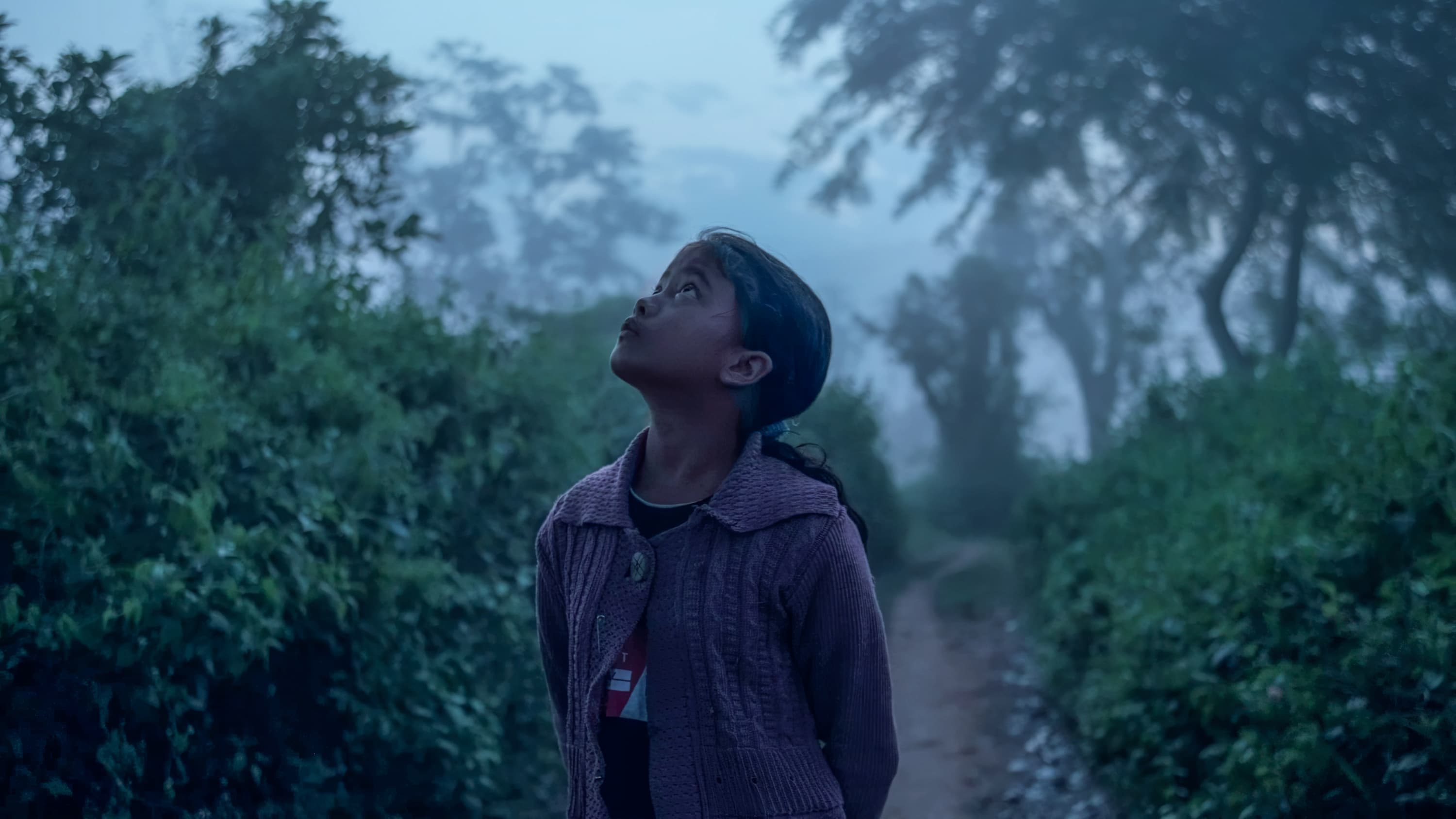 IBF Classic Shadows of the Forest