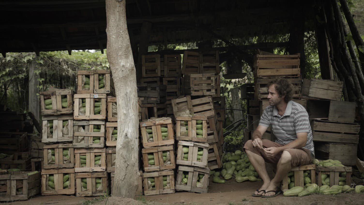 Two projects selected for NFF + IBF Minority Co-production grant