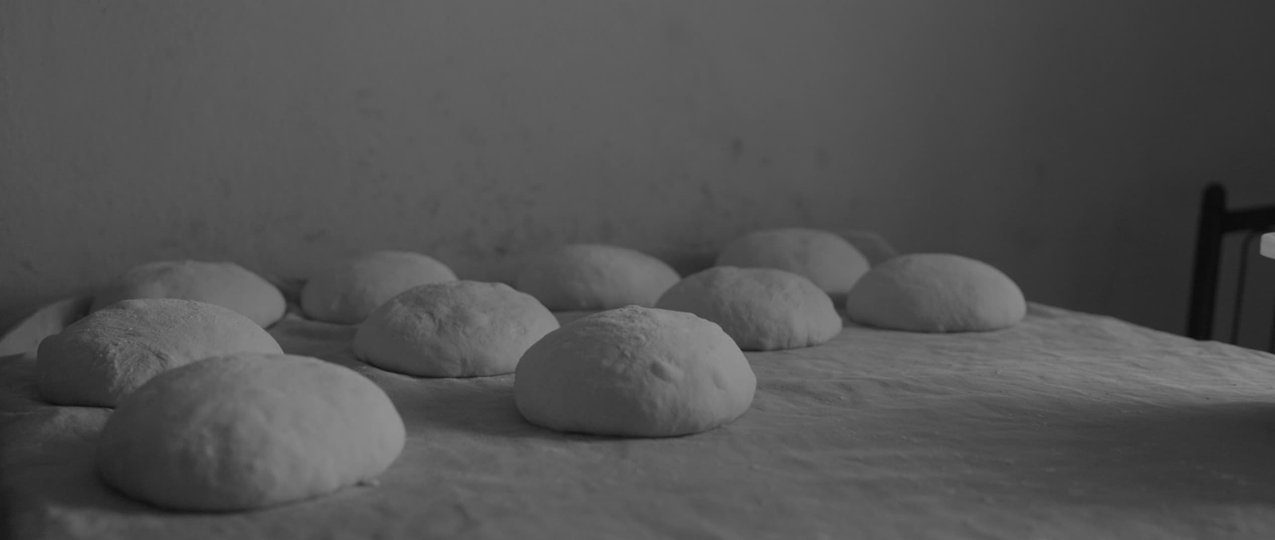Embracing the flow of the natural world in Our Seeds