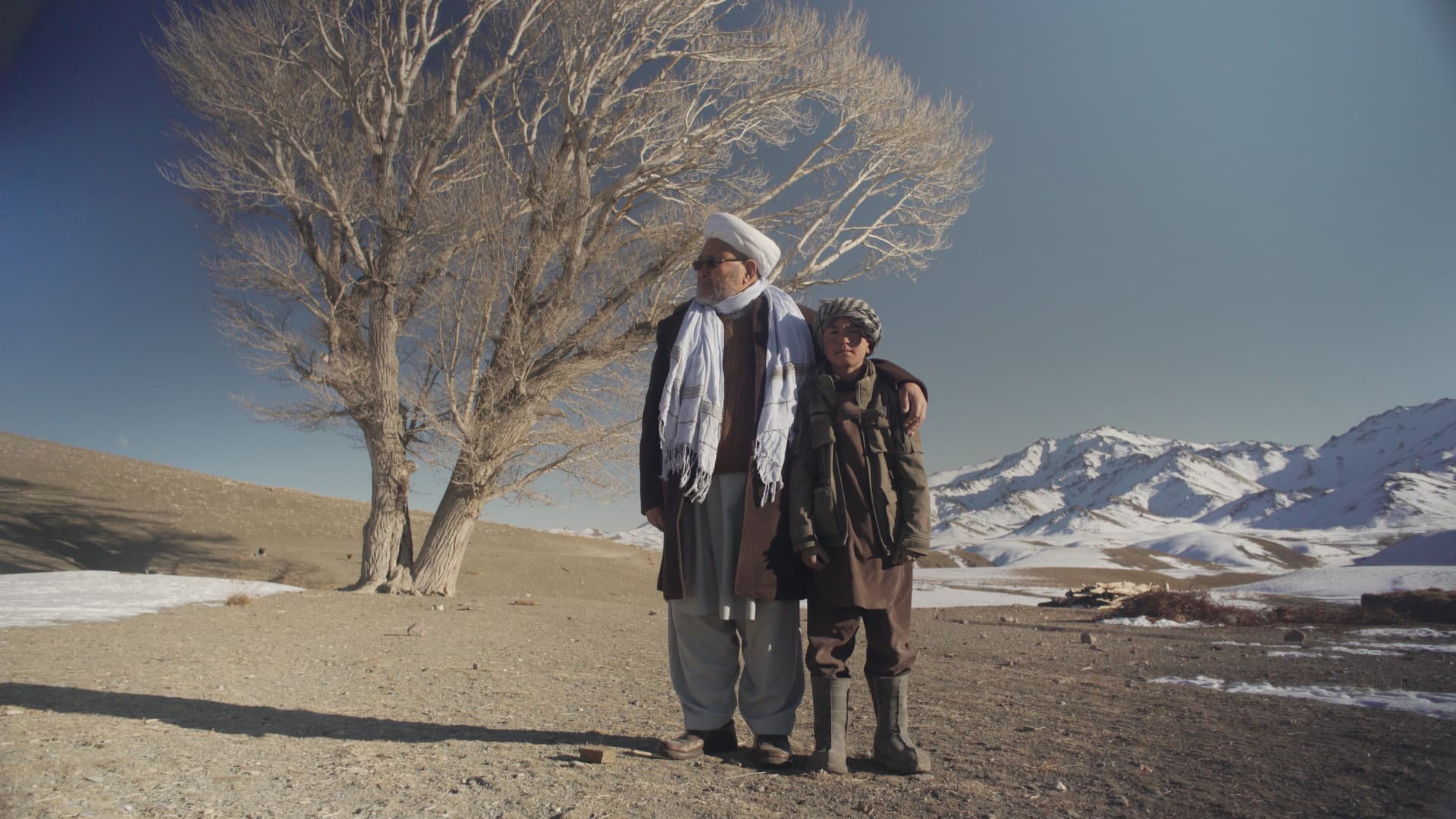 From pitch to premiere: 24 films in IDFA's 2025 harvest