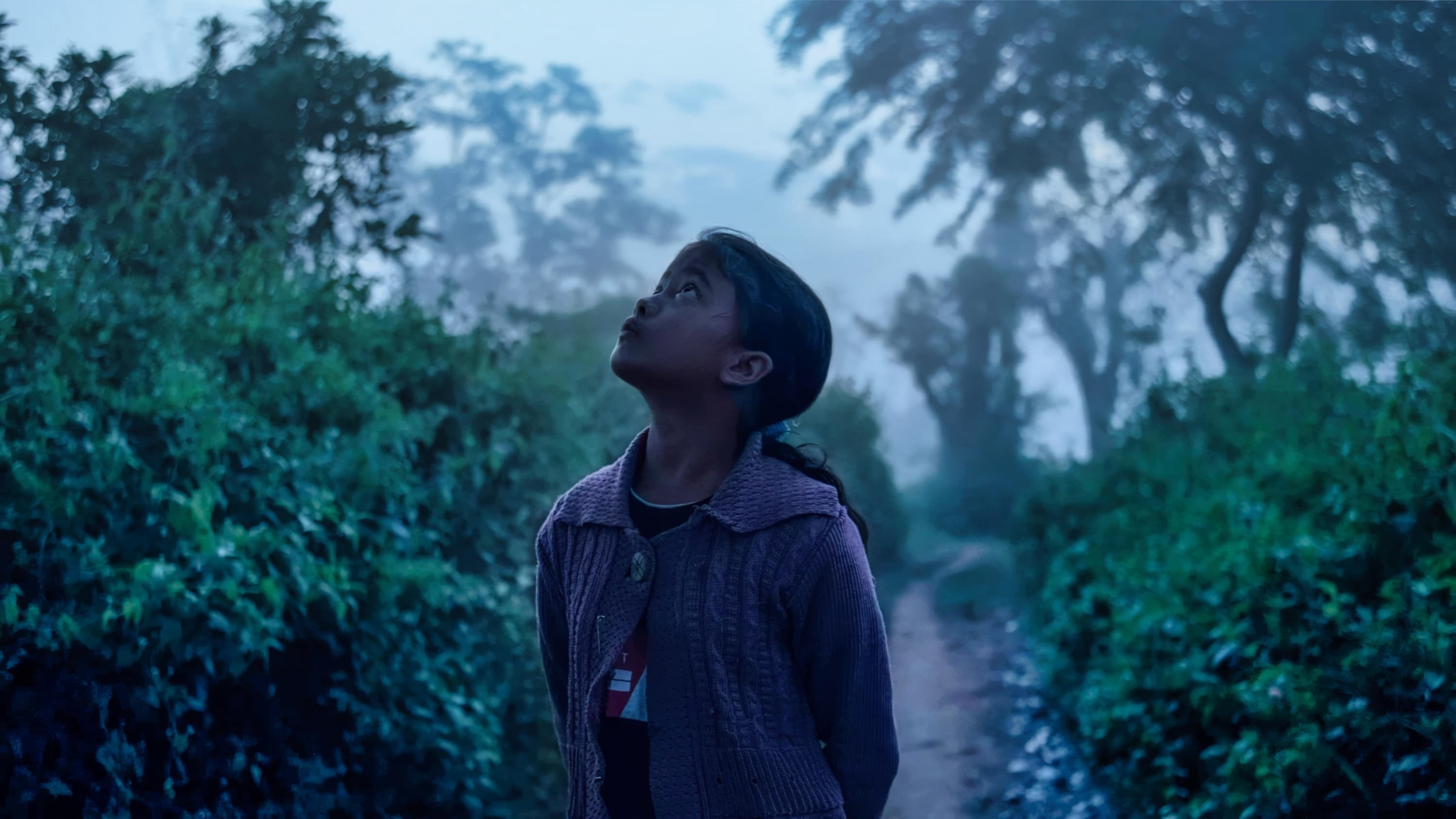 Shadows of the Forest