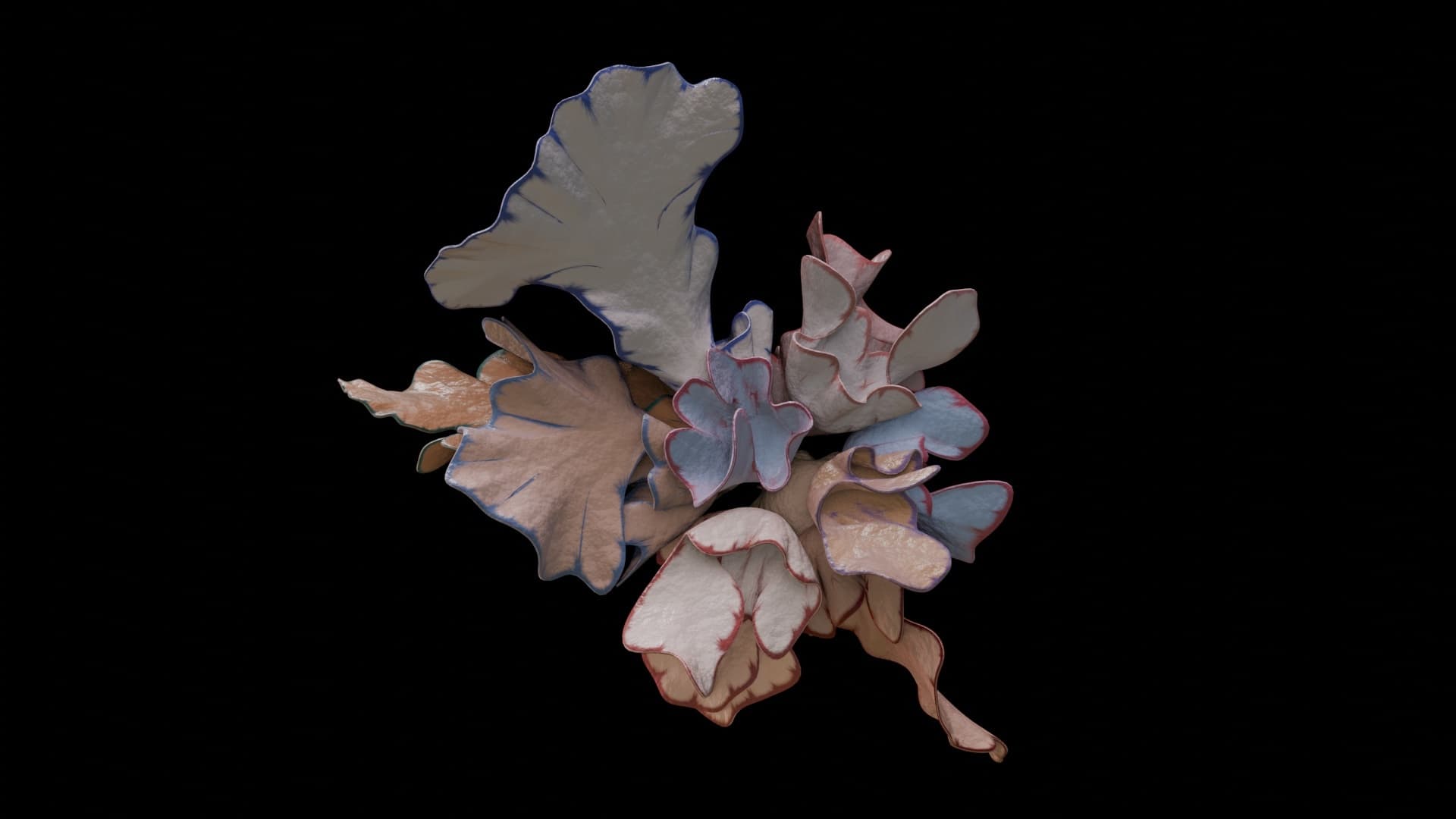 Future botanica website