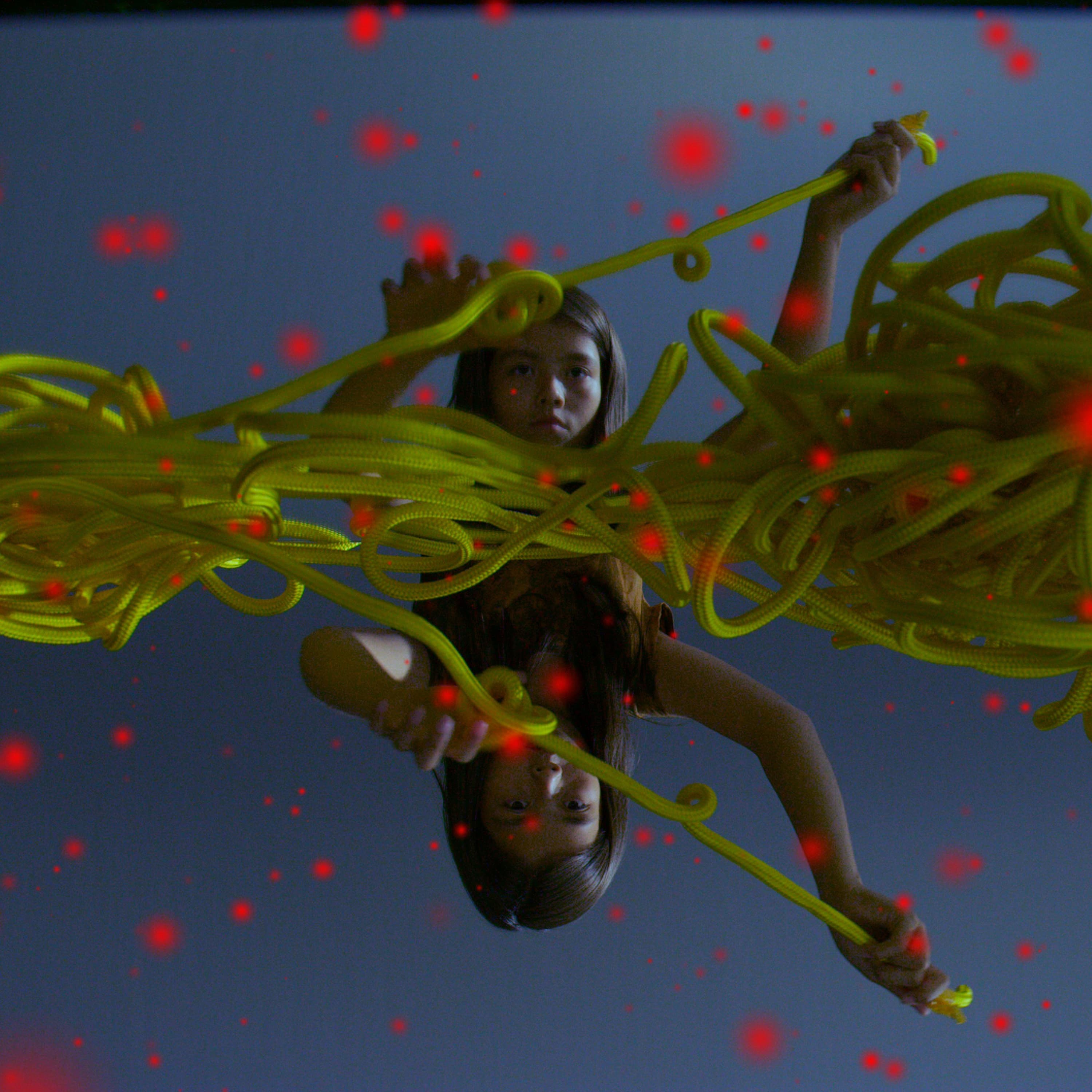 Domesticating Reality: Moving Beyond Wonder