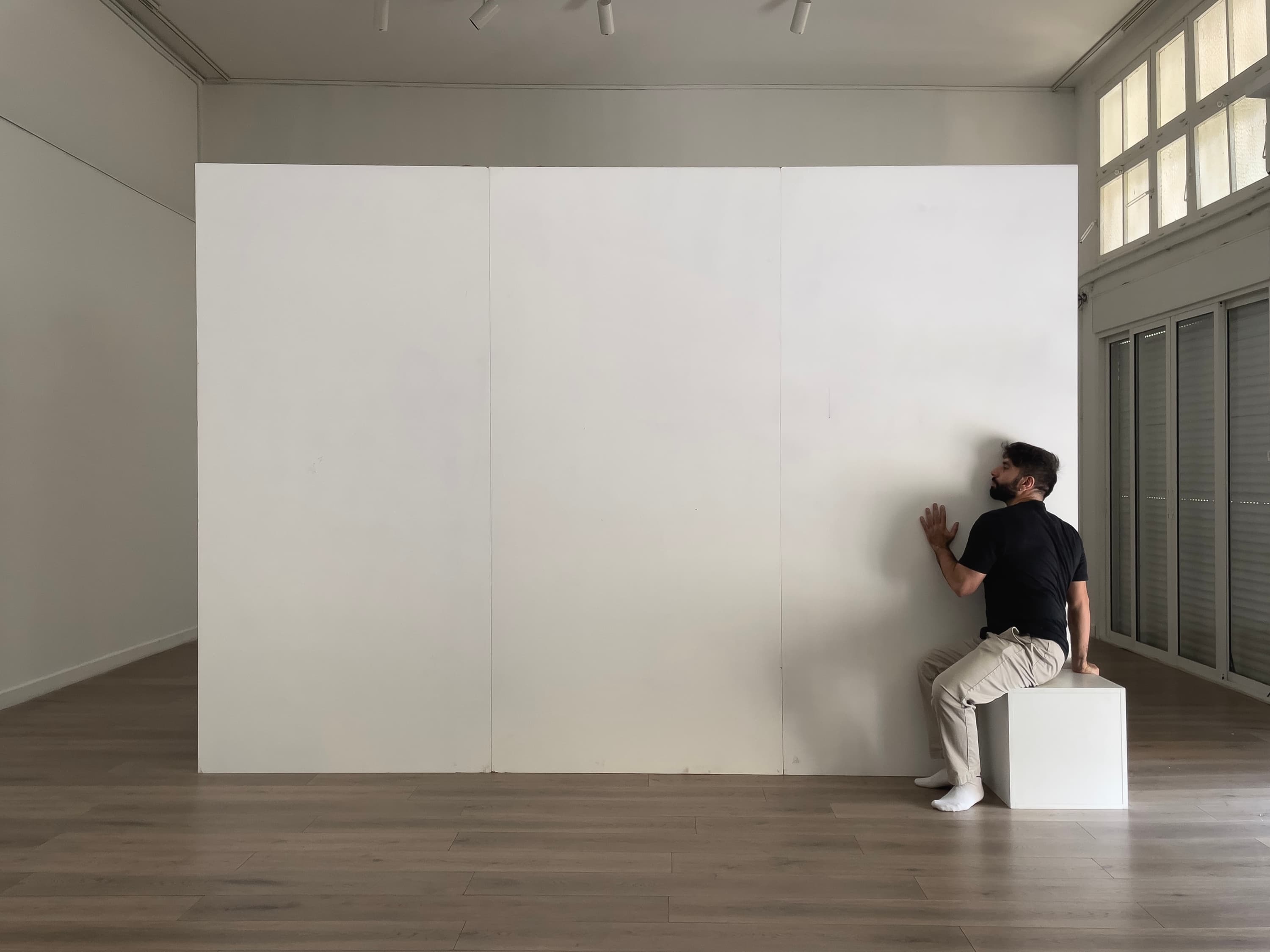 The liminal website