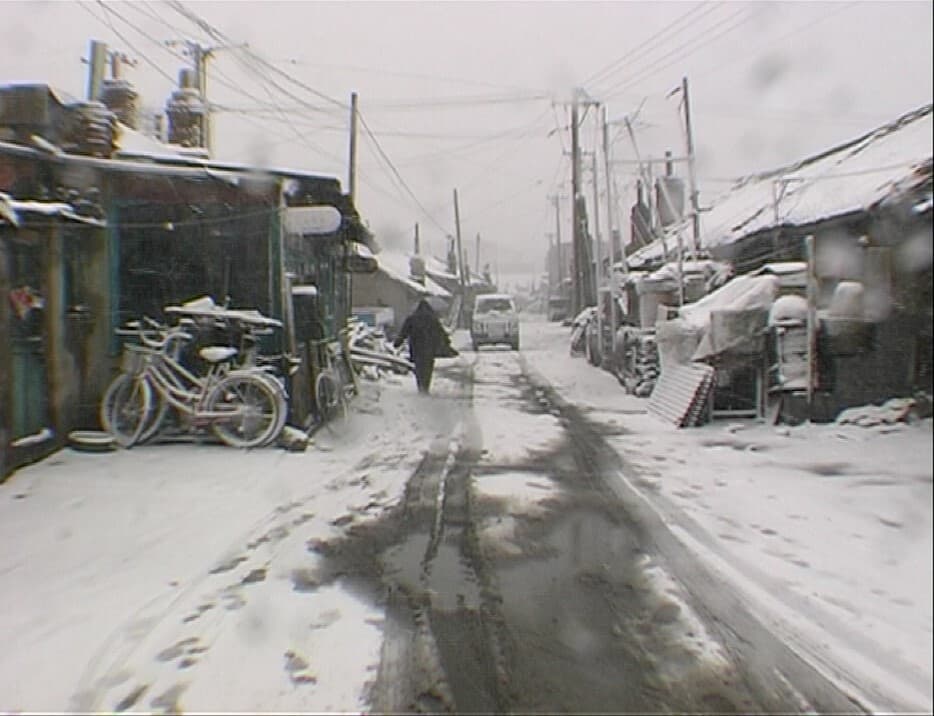 Wang Bing’s Top 10: Unveiling the beauty and the sorrow of China
