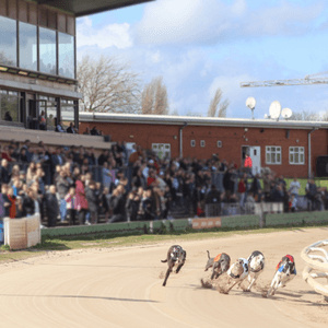 Monmore Monmore Race Tickets Thursday 4th April 2024