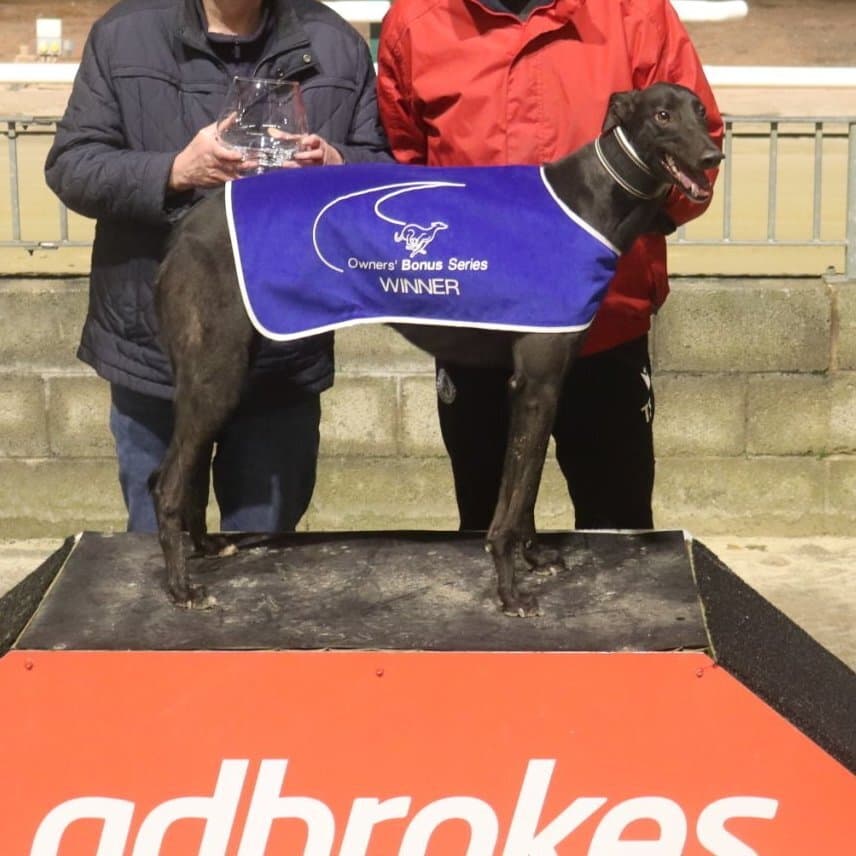Racing Office Graded Greyhound of the Year and Most Graded Wins for 2023