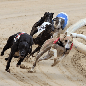 Crayford Crayford Race Tickets Tuesday 7th May