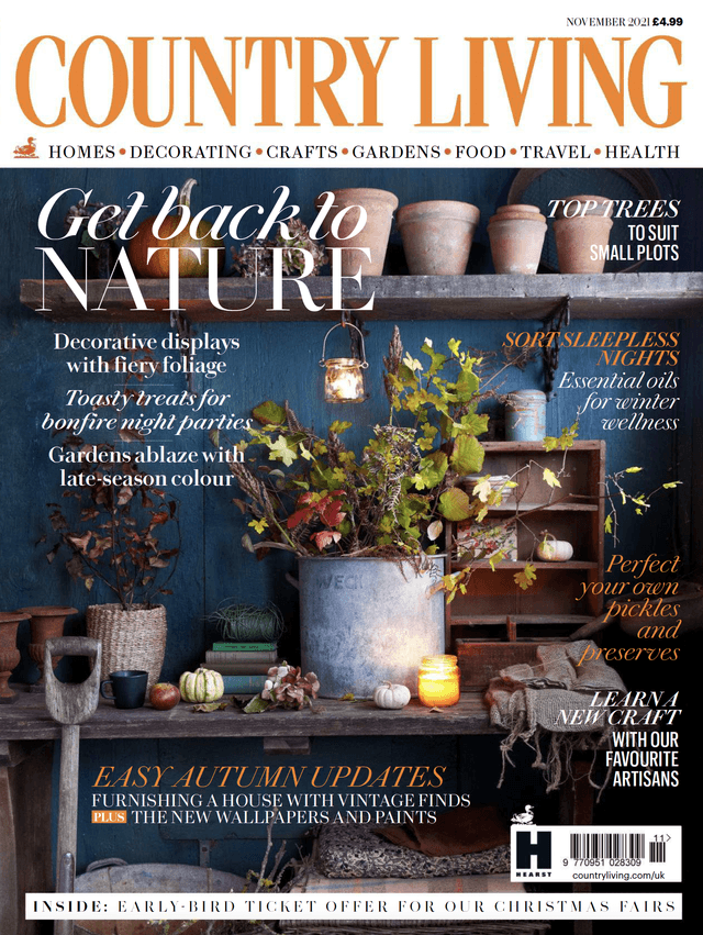 Country Living UK 11 2021 cover
