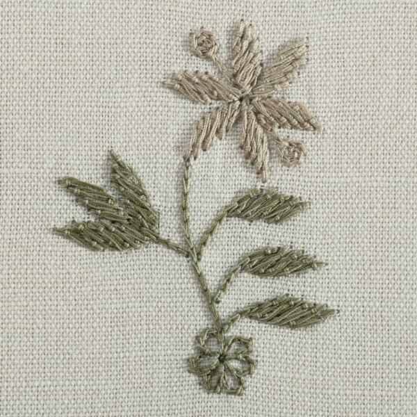 F051 SA 06 1 – Faded wildflowers in sand