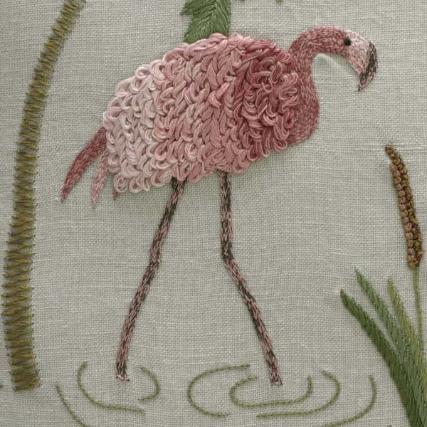 C660A Cropped – Flamingos