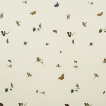 Bugs, butterflies & leaves