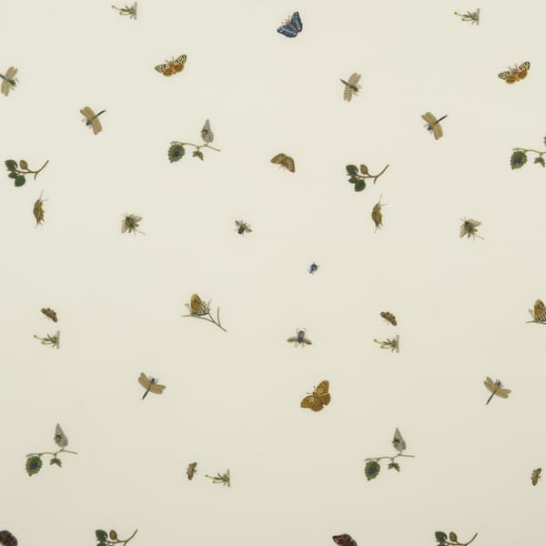 F333 1 6 – Bugs, butterflies & leaves