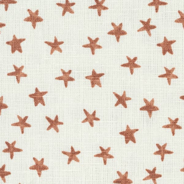 Fp1405 Detail – Stars in rust
