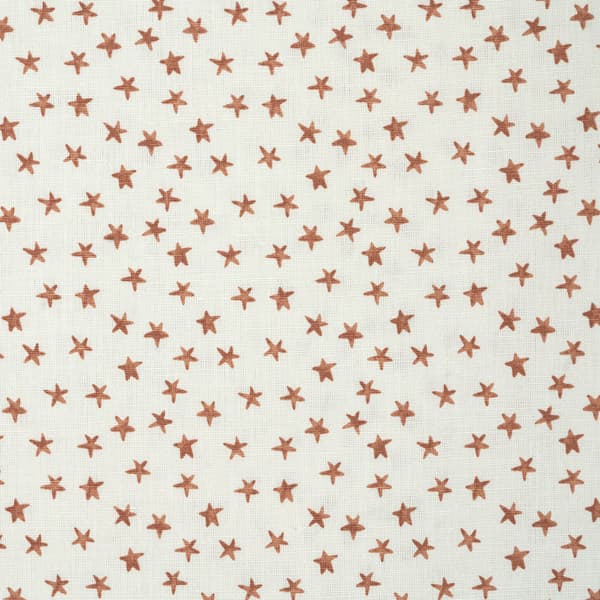 Fp1405 – Stars in rust