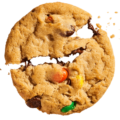 Veterans day parade san jose 2024 Veterans day parade san jose 2024