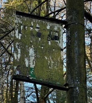 Bus stop mossy