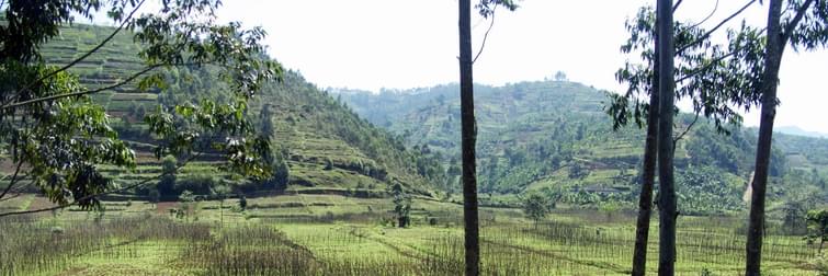 Rwanda Rural