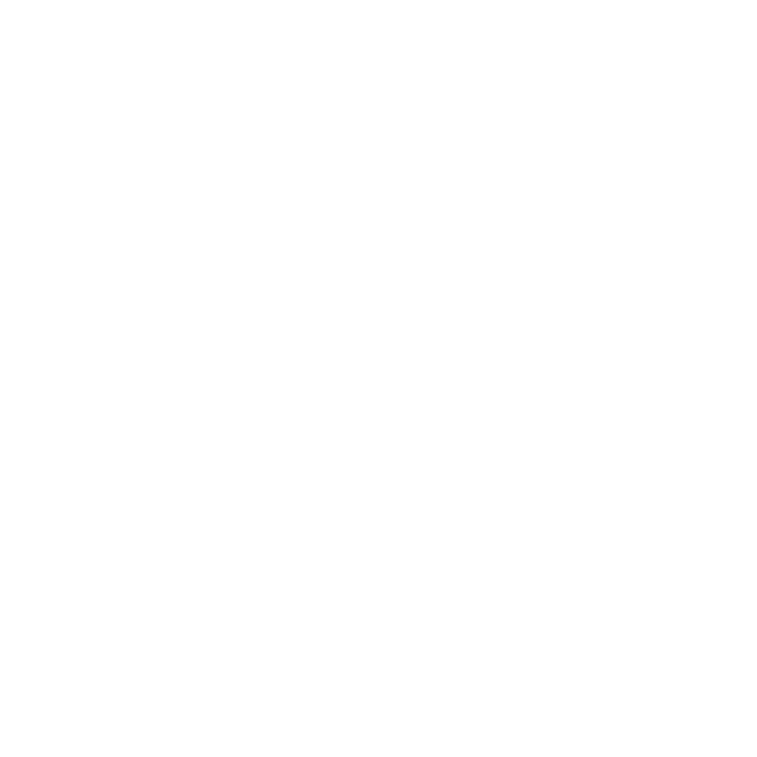 Bus Rapid Transit