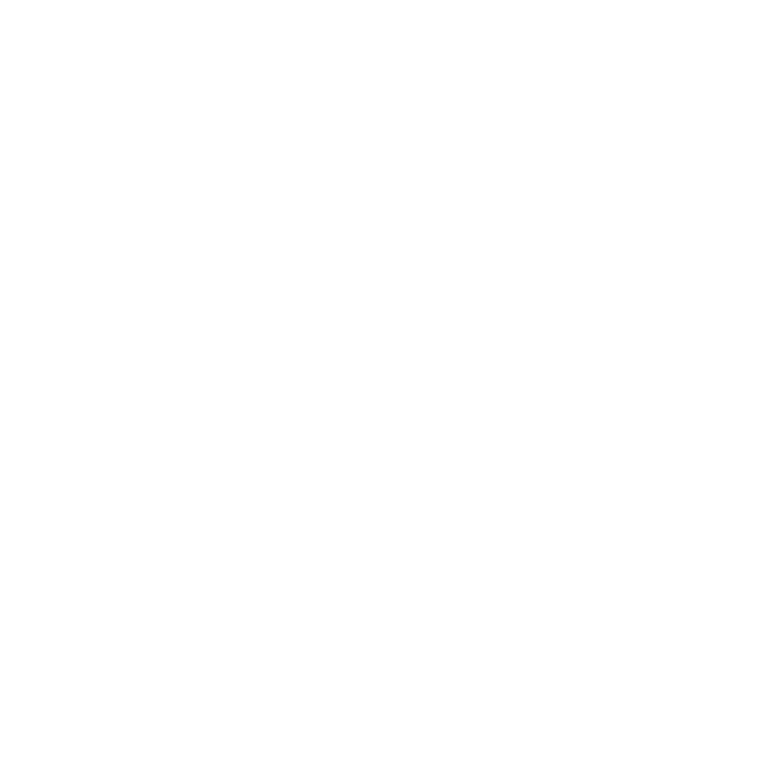Inclusive Mobility