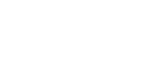 logo White Logos 12 Health Partners