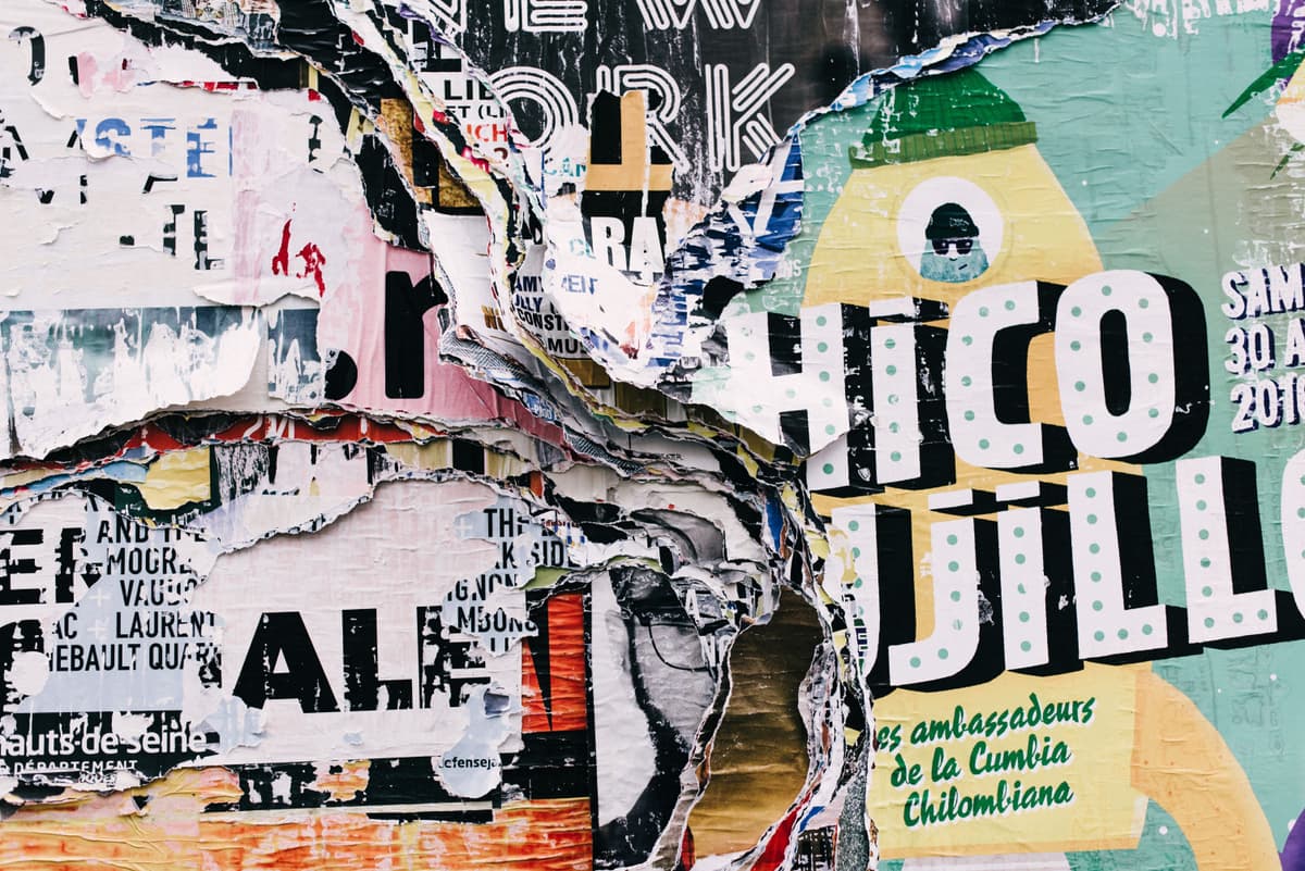 Alice donovan rouse 177313 unsplash
