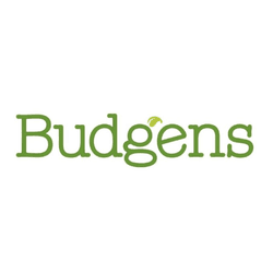 Budges Logo