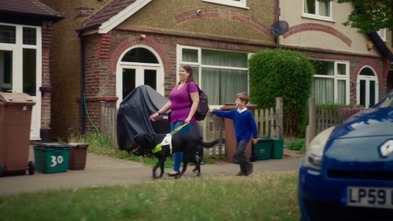 Guide Dogs Life