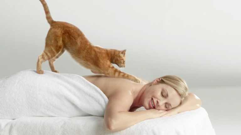 Kitty Massage