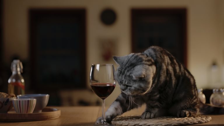 Screenshot 2024 01 15 at 18 08 56