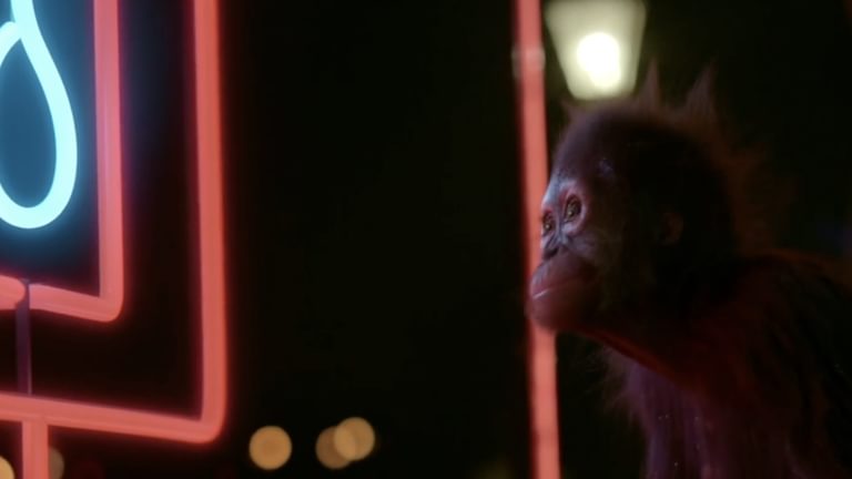 Screenshot 2025 01 09 at 11 14 50