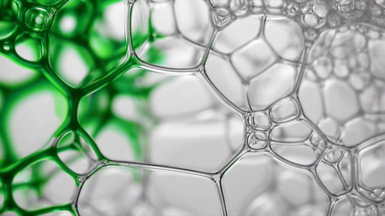 Screenshot 2025 10 07 at 17 48 53